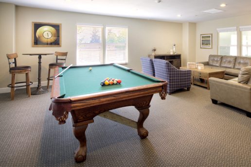Pool table room with lounge area and table sitting area